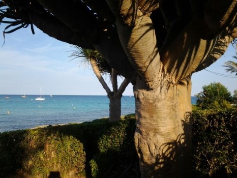Vacaciones en Menorca para toda la familia