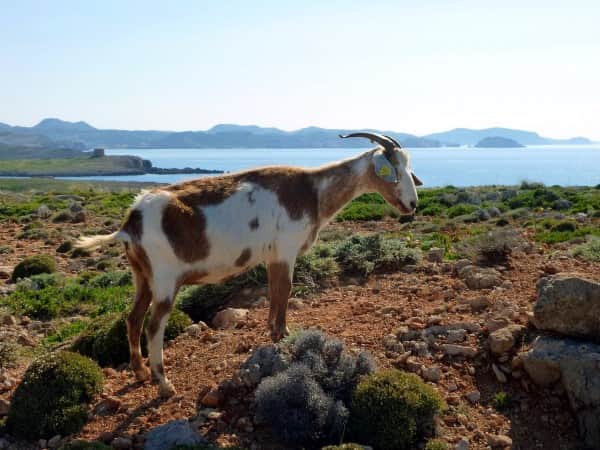 Paisaje de la isla de Menorca